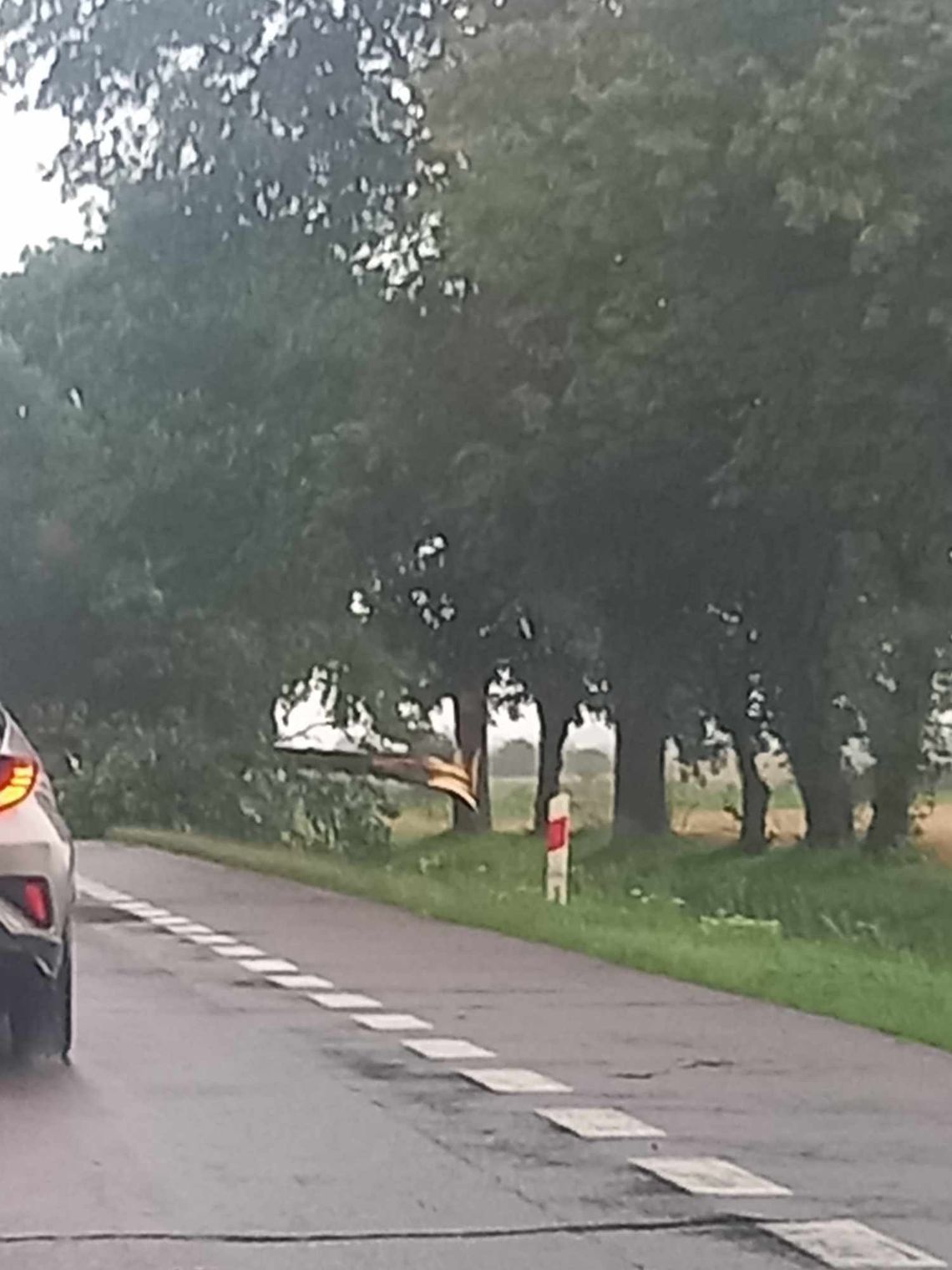 Powiat chełmski. Zerwany dach i powalone drzewa. Strażacy mieli sporo pracy