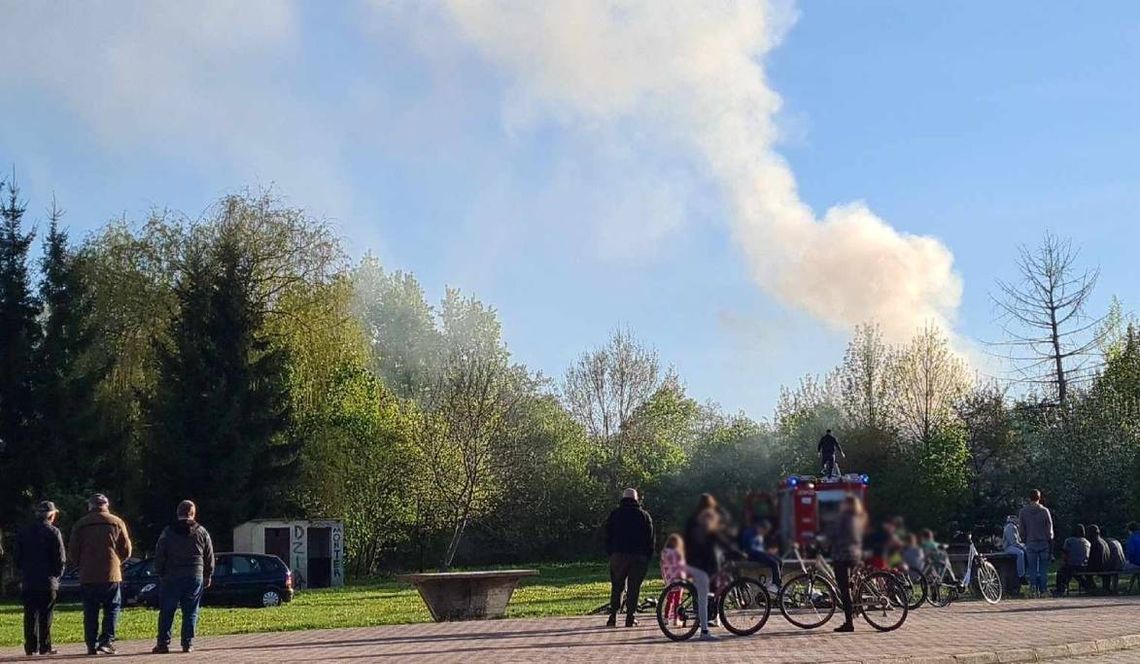 Pożar pustostanu w Rudzie-Hucie. Strażacy szybko opanowali ogień