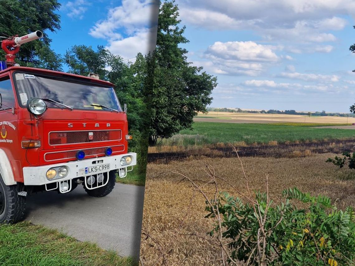 Pożar zboża w gminie Rejowiec. Sprawdzają, czy to sprawka podpalacza