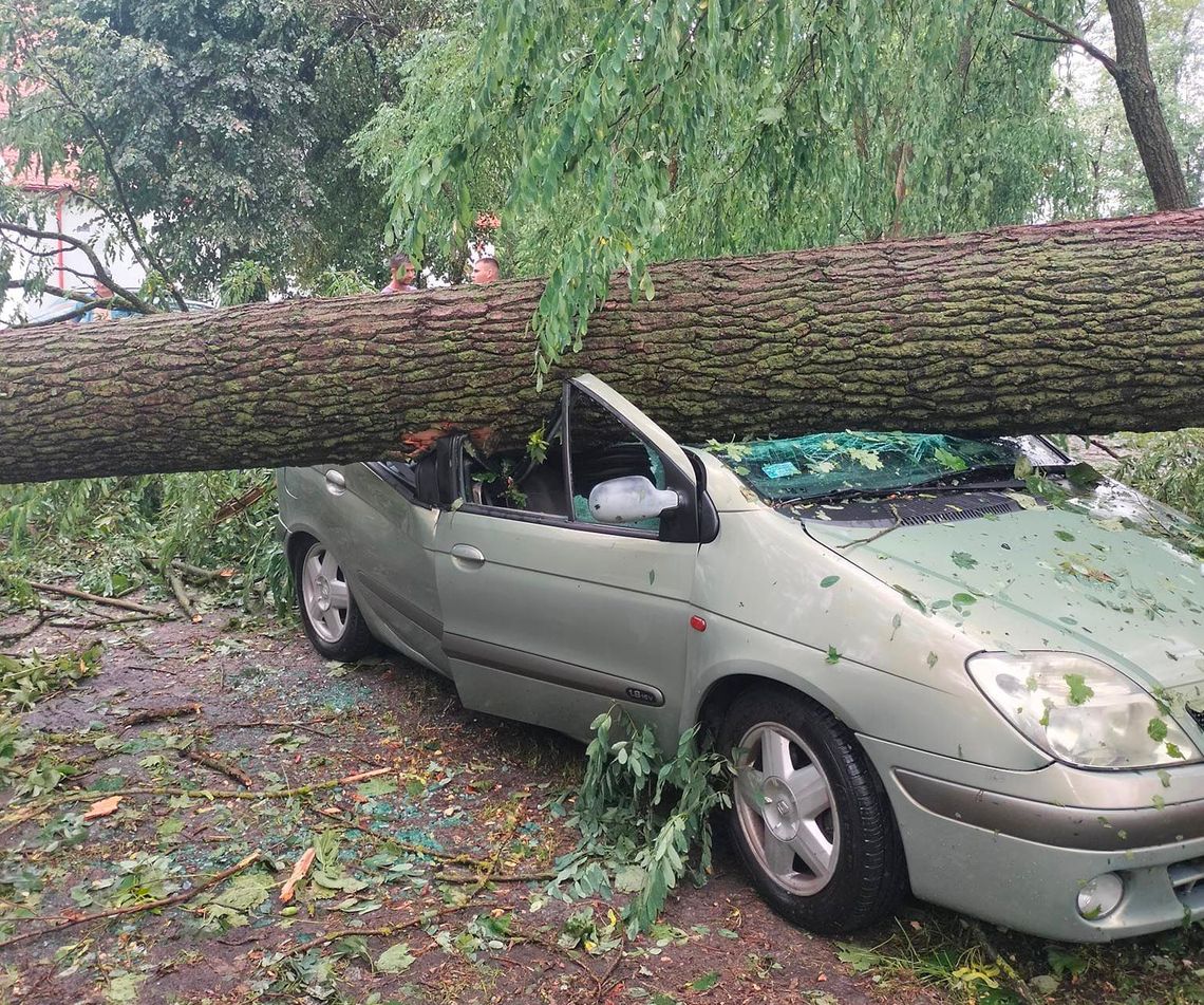 Pozrywane dachy i powalone drzewa. Przez region przeszły nawałnice