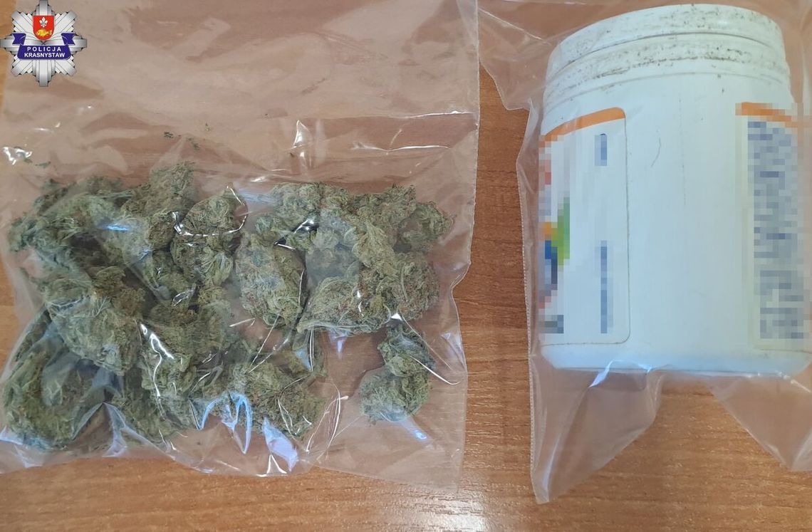 Prawie 90 porcji marihuany w domu 38-latka z gminy Krasnystaw. Mężczyzna stanie przed sądem Prawie 90 porcji marihuany w domu 38-latka z gminy Krasnystaw. Mężczyzna stanie przed sądem