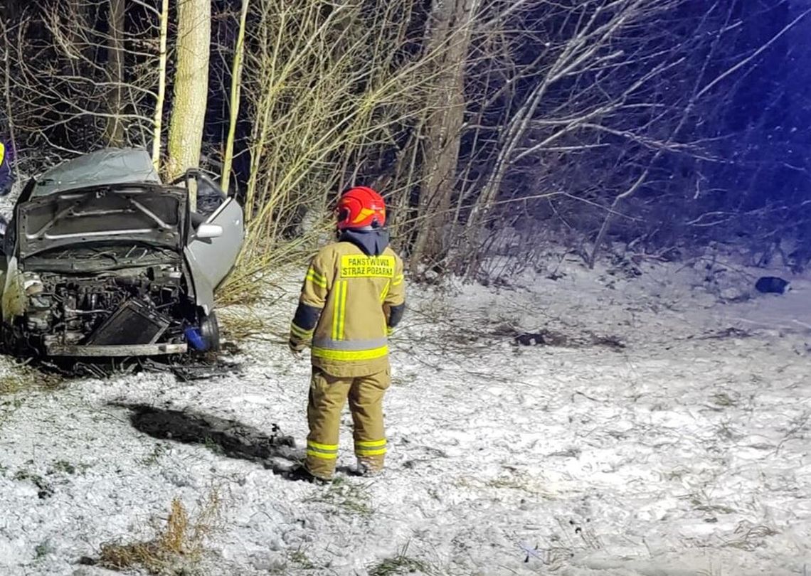 Prawie dwa promile i roztrzaskane na drzewie audi. 38-latek mógł doprowadzić do tragedii Prawie dwa promile i roztrzaskane na drzewie audi. 38-latek mógł doprowadzić do tragedii