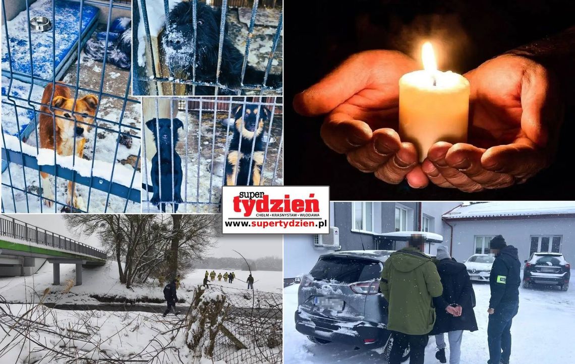 Przegląd informacji z 10 i 11 stycznia 2026. Chełm, Krasnystaw, Włodawa