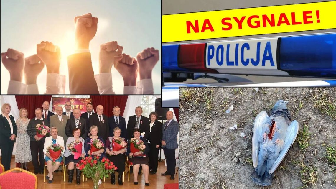 Przegląd informacji z 11 lutego 2025. Chełm, Krasnystaw, Włodawa Przegląd informacji z 11 lutego 2025. Chełm, Krasnystaw, Włodawa