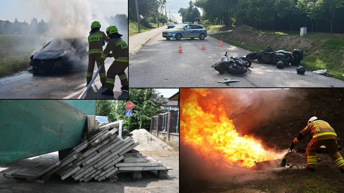 Przegląd informacji z 12 czerwca 2025. Chełm, Krasnystaw, Włodawa