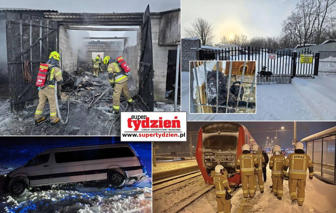 Przegląd informacji z 12 stycznia 2026. Chełm, Krasnystaw, Włodawa