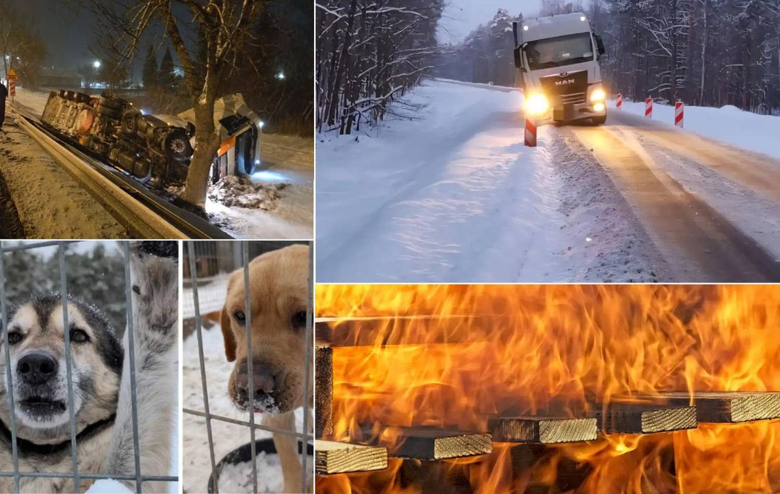 Przegląd informacji z 13 stycznia 2026. Chełm, Krasnystaw, Włodawa