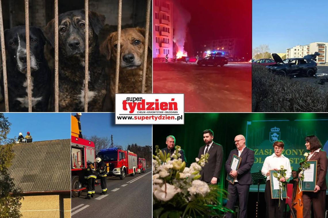 Przegląd informacji z 14 marca 2026. Chełm, Krasnystaw, Włodawa Przegląd informacji z 14 marca 2026. Chełm, Krasnystaw, Włodawa