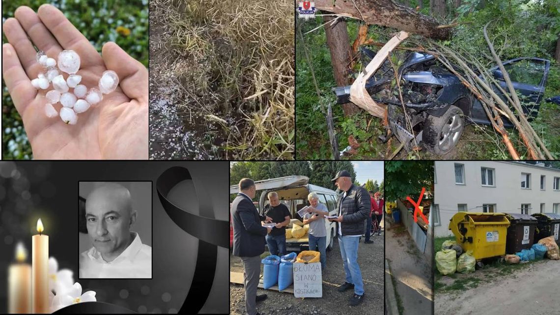 Przegląd informacji z 15 lipca 2025. Chełm, Krasnystaw, Włodawa Przegląd informacji z 15 lipca 2025. Chełm, Krasnystaw, Włodawa