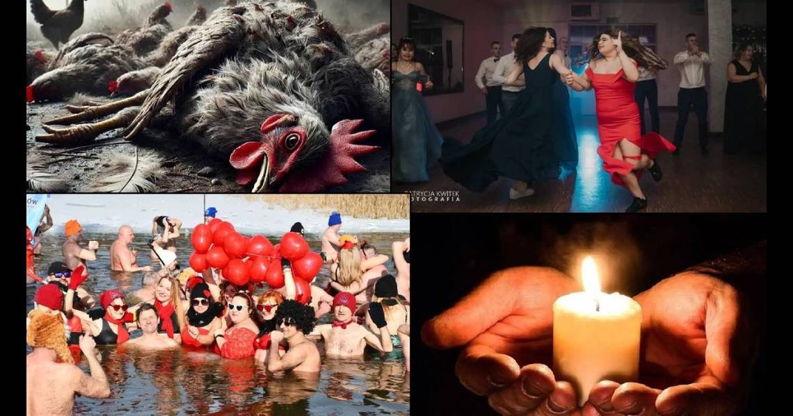 Przegląd informacji z 16 lutego 2025. Chełm, Krasnystaw, Włodawa Przegląd informacji z 16 lutego 2025. Chełm, Krasnystaw, Włodawa