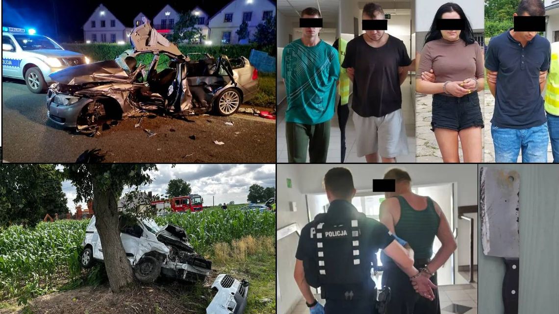 Przegląd informacji z 17 lipca 2025. Chełm, Krasnystaw, Włodawa