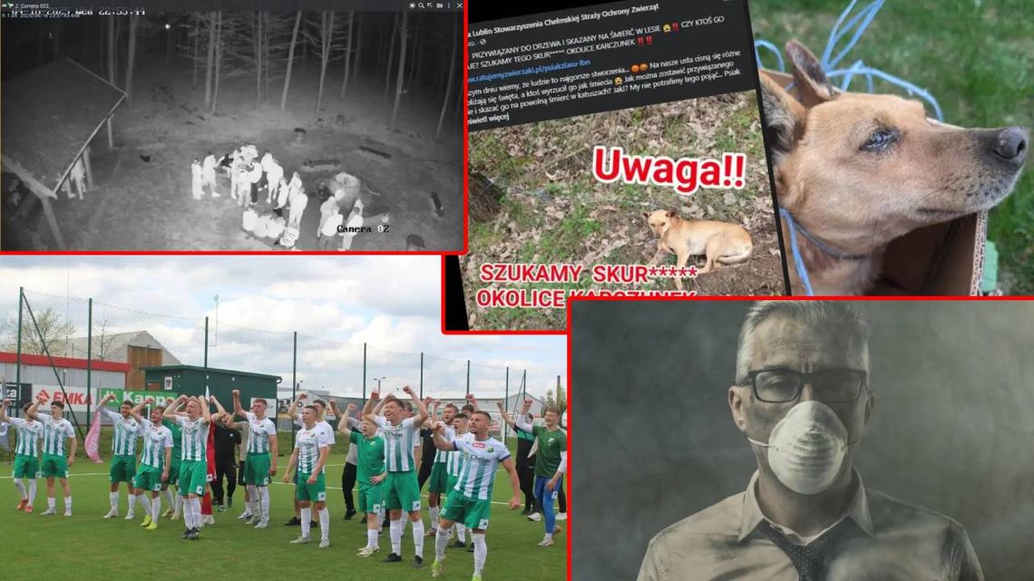 Przegląd informacji z 19 kwietnia 2025. Chełm, Krasnystaw, Włodawa