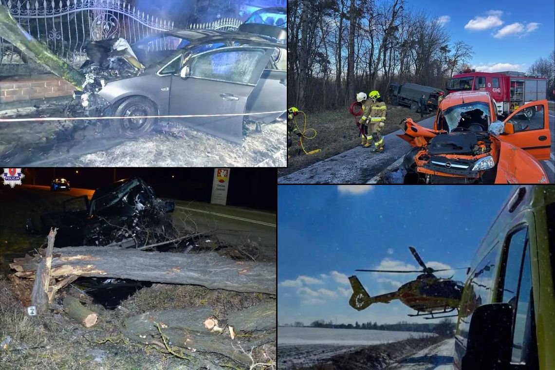 Przegląd informacji z 19 lutego 2025. Chełm, Krasnystaw, Włodawa Przegląd informacji z 19 lutego 2025. Chełm, Krasnystaw, Włodawa