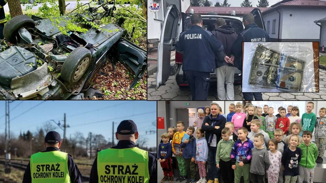 Przegląd informacji z 19 maja 2025. Chełm, Krasnystaw, Włodawa