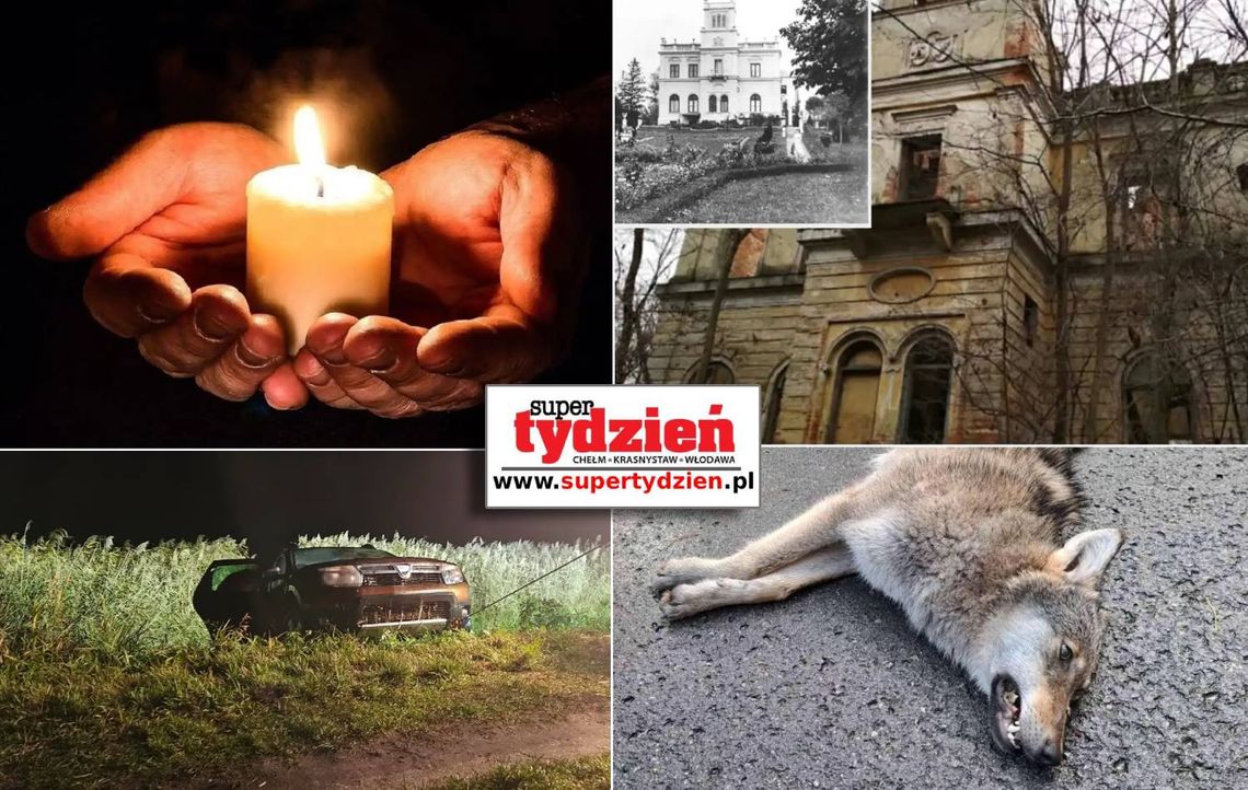 Przegląd informacji z 1 listopada 2025. Chełm, Krasnystaw, Włodawa