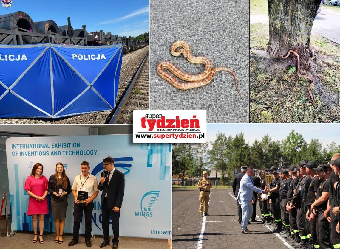 Przegląd informacji z 20/21 czerwca 2026. Chełm, Krasnystaw, Włodawa