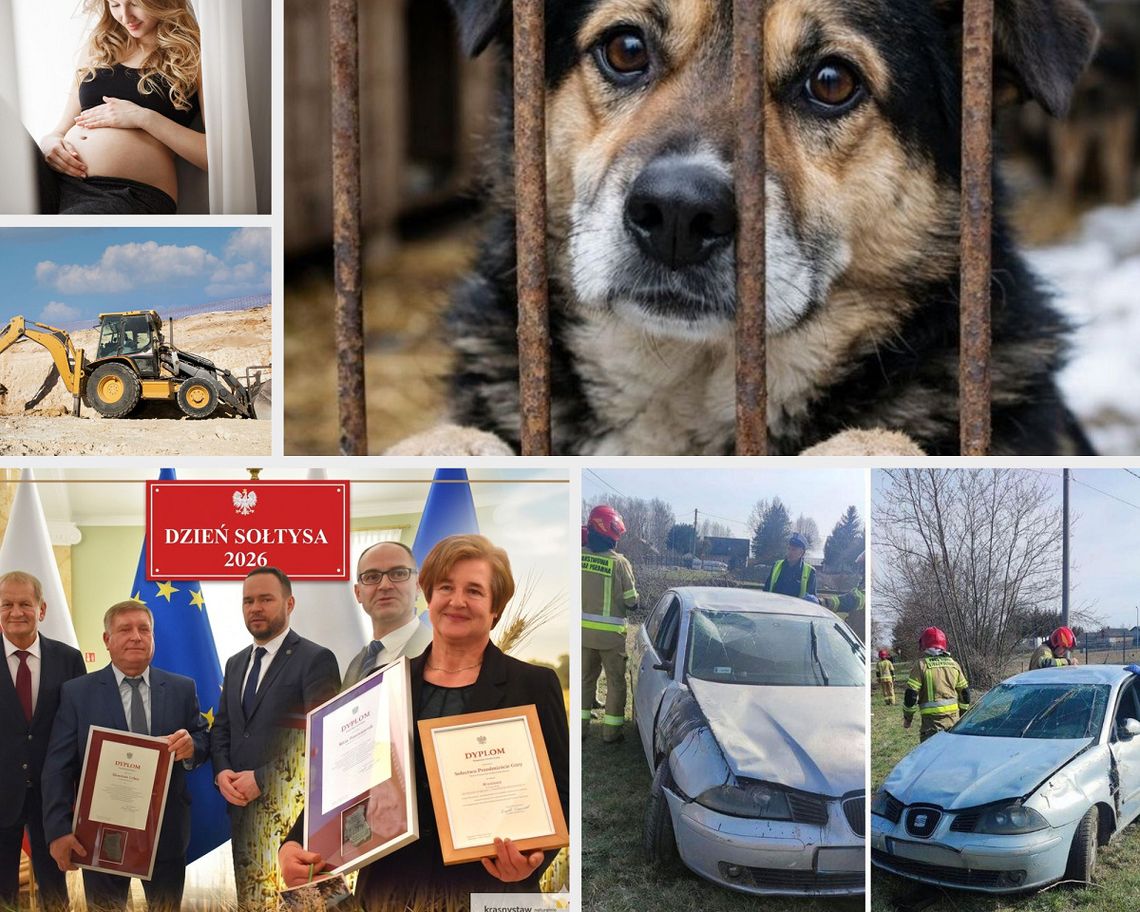 Przegląd informacji z 23 marca 2026. Chełm, Krasnystaw, Włodawa