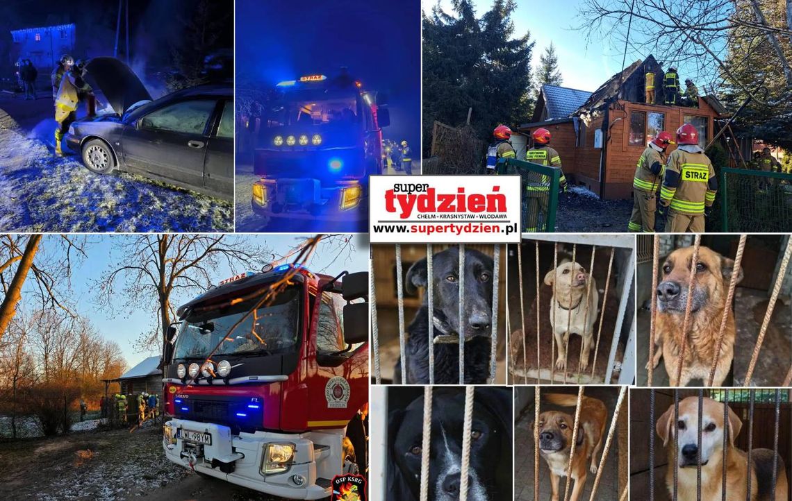 Przegląd informacji z 25 grudnia 2025. Chełm, Krasnystaw, Włodawa