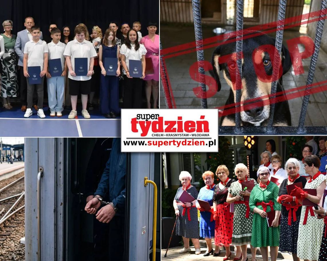 Przegląd informacji z 26 czerwca 2026. Chełm, Krasnystaw, Włodawa