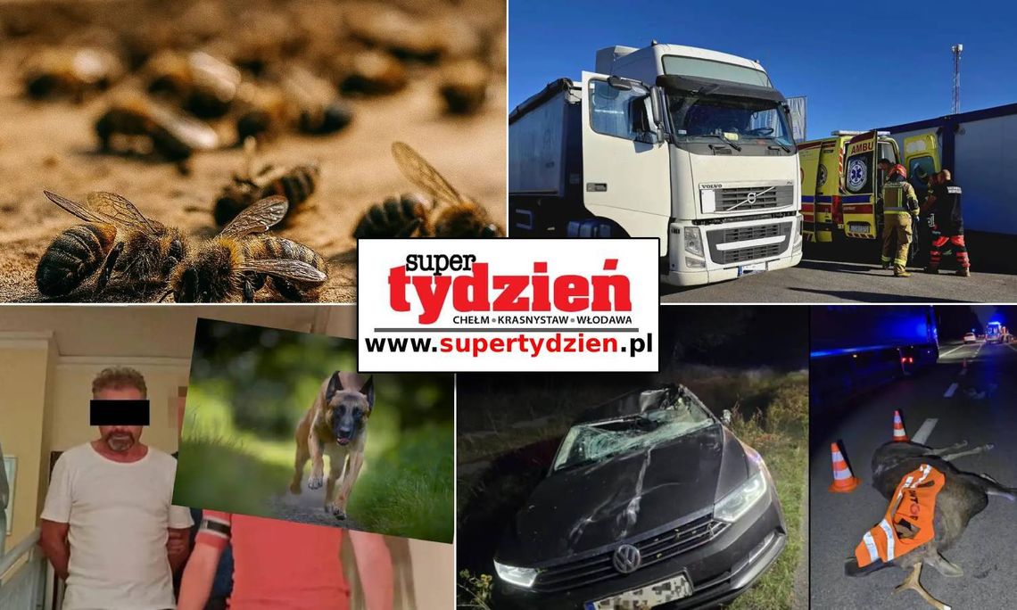 Przegląd informacji z 26 września 2025. Chełm, Krasnystaw, Włodawa