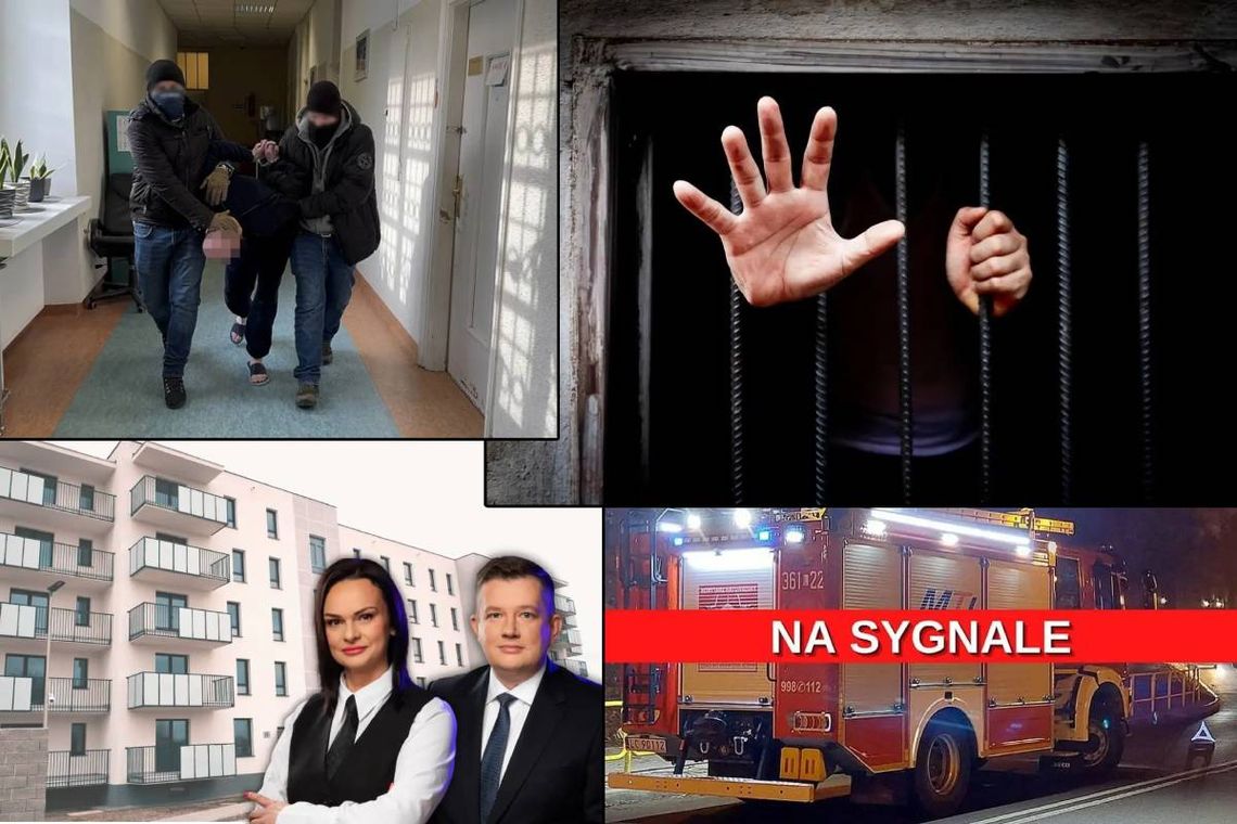 Przegląd informacji z 27 lutego 2025. Chełm, Krasnystaw, Włodawa Przegląd informacji z 27 lutego 2025. Chełm, Krasnystaw, Włodawa