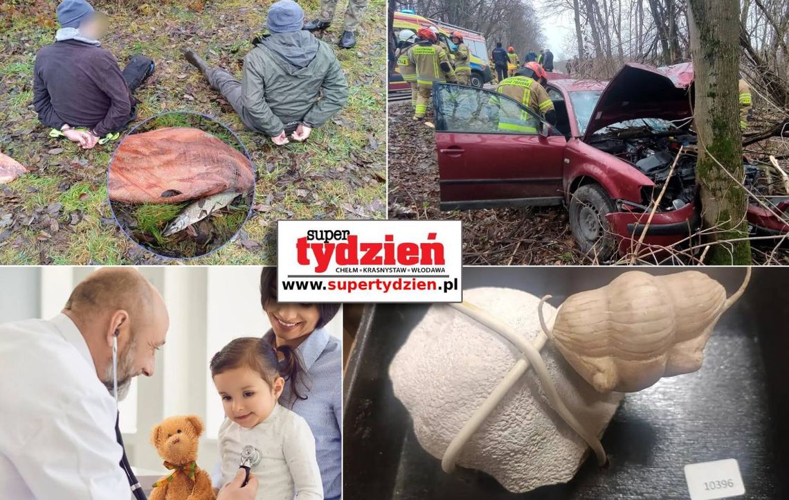 Przegląd informacji z 29 listopada 2025. Chełm, Krasnystaw, Włodawa Przegląd informacji z 29 listopada 2025. Chełm, Krasnystaw, Włodawa