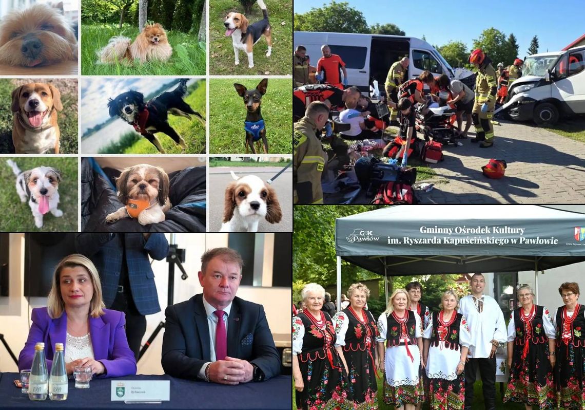 Przegląd informacji z 3 lipca 2025. Chełm, Krasnystaw, Włodawa