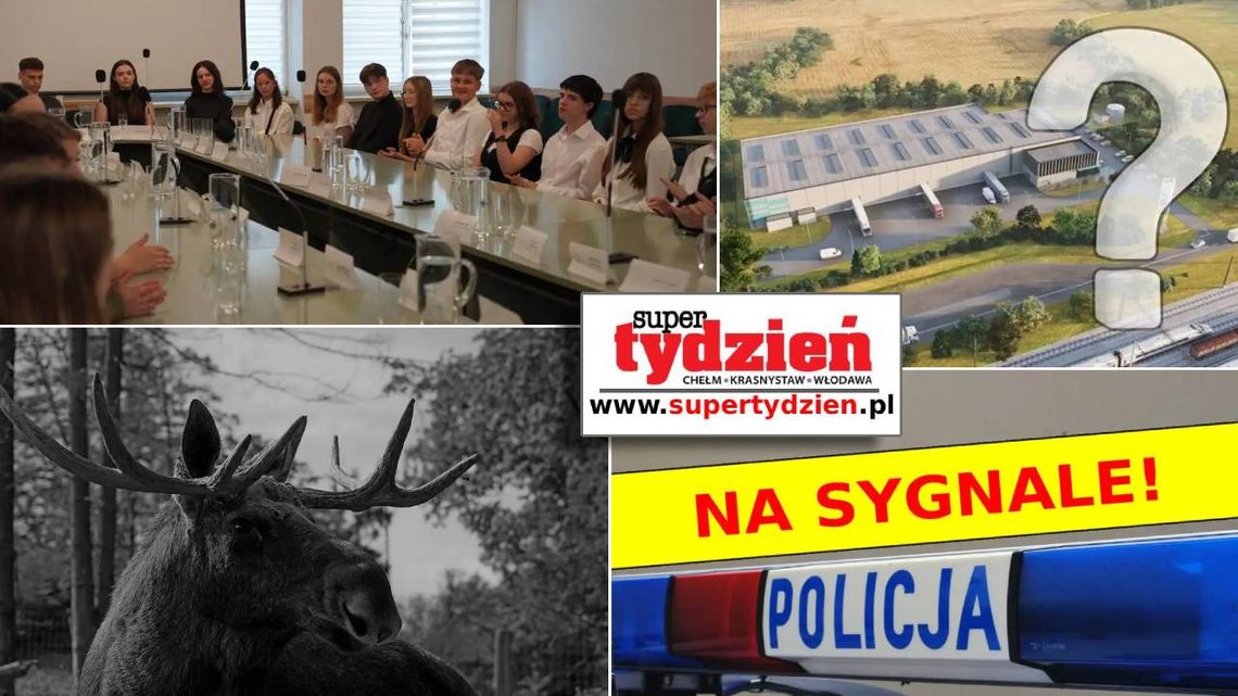 Przegląd informacji z 4 września 2025. Chełm, Krasnystaw, Włodawa