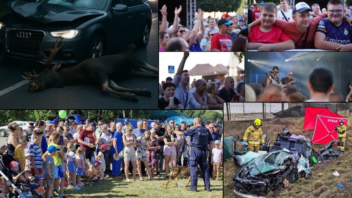 Przegląd informacji z 5 lipca 2025. Chełm, Krasnystaw, Włodawa