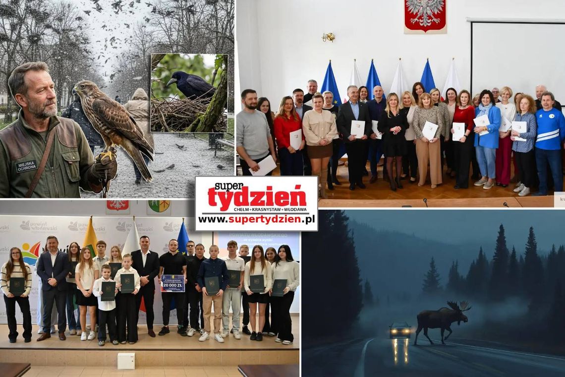 Przegląd informacji z 6 marca 2026. Chełm, Krasnystaw, Włodawa