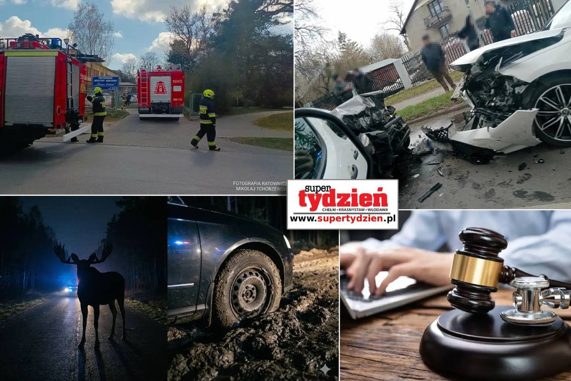 Przegląd informacji z 8 kwietnia 2026. Chełm, Krasnystaw, Włodawa