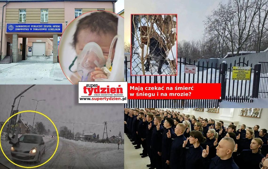 Przegląd informacji z 9 stycznia 2026. Chełm, Krasnystaw, Włodawa