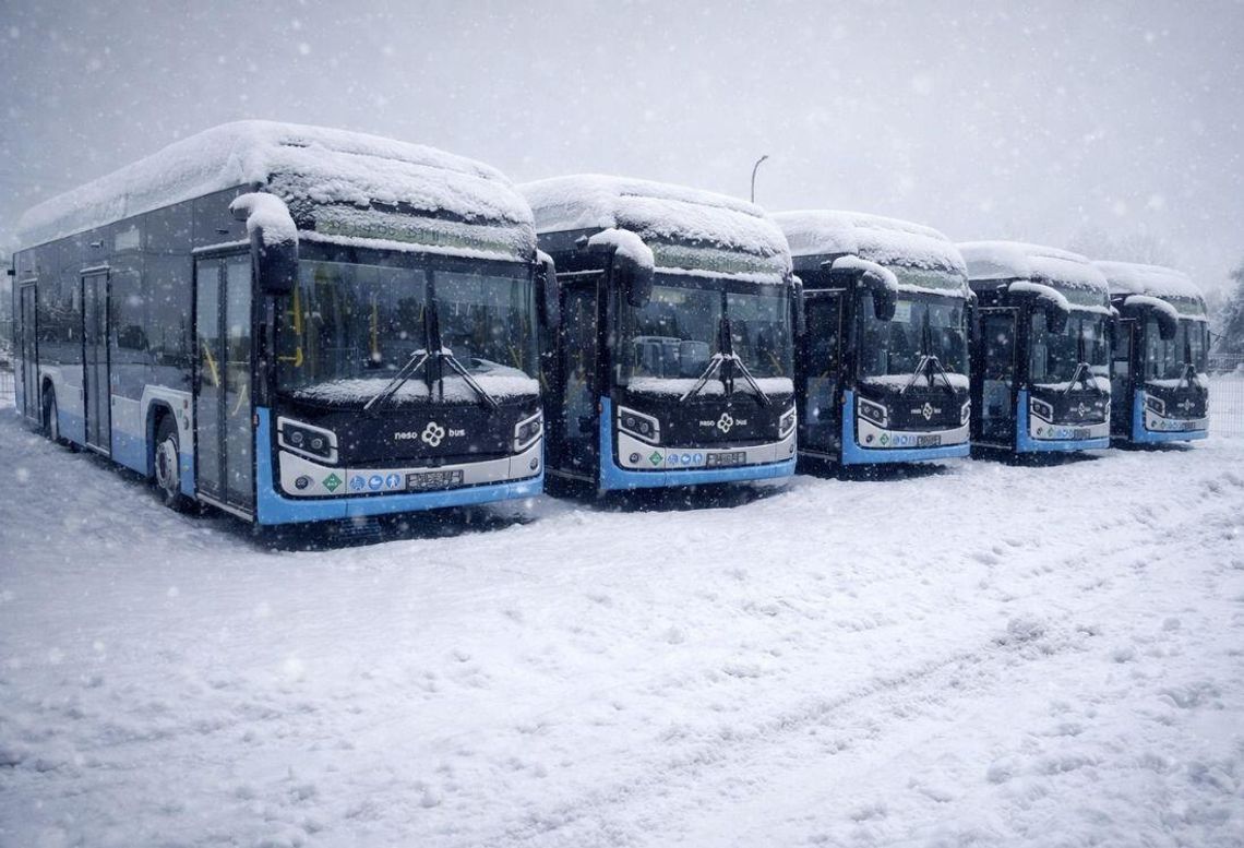 Ostatnie awarie wodorowych autobusów ujawniły słabości systemu komunikacji miejskiej w warunkach silnych mrozów oraz brak skutecznych rozwiązań awaryjnych.
