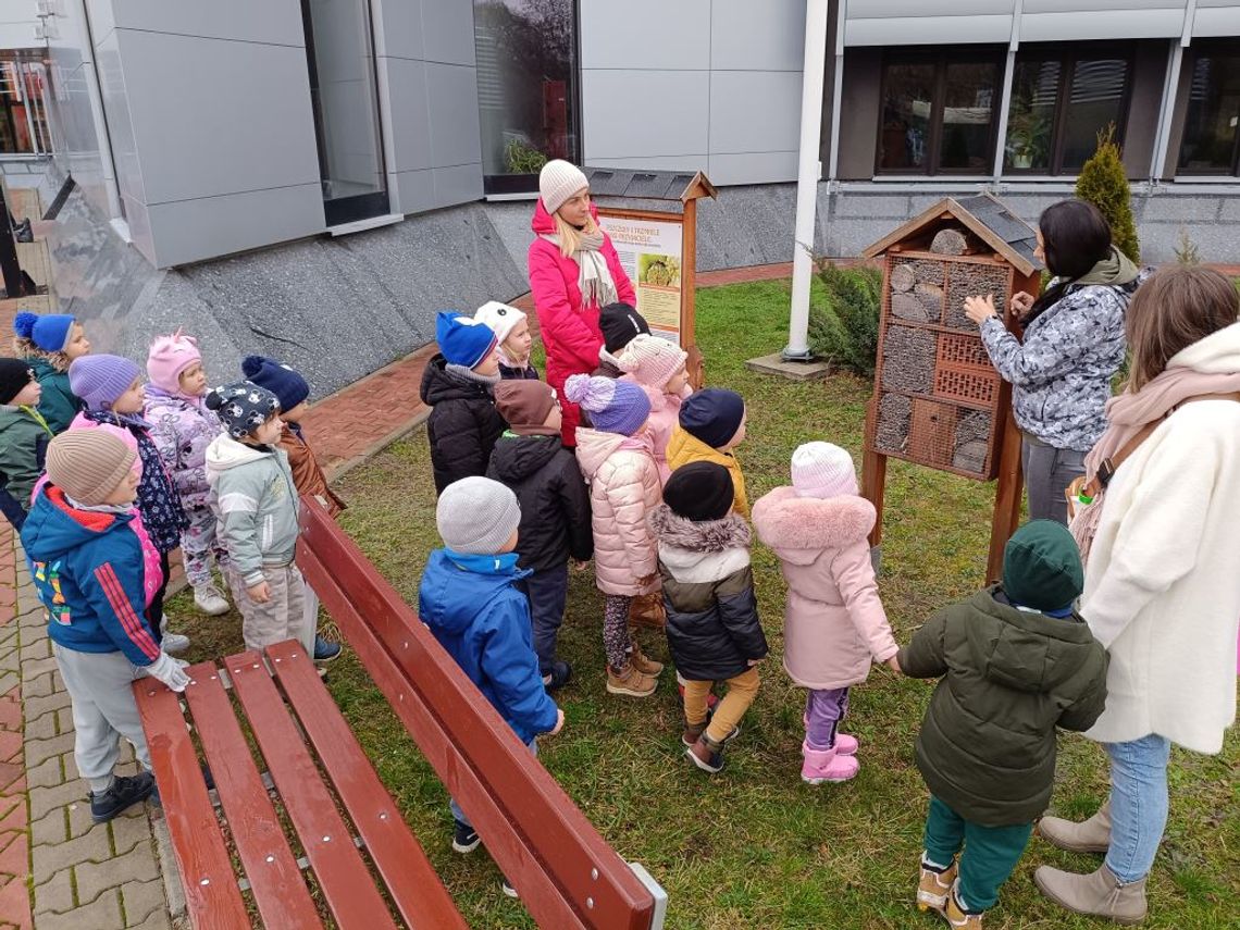 Pszczoły i trzmiele nasi przyjaciele - działania na rzecz bioróżnorodności wokół Cementowni Chełm