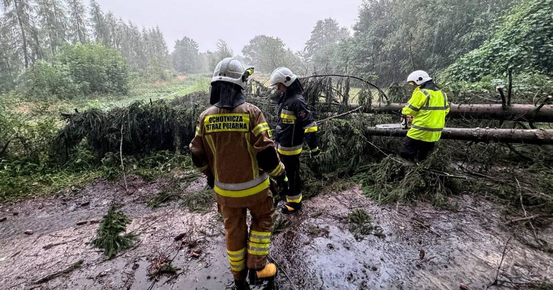 Region. Krajobraz po burzy. Znów powalone drzewa i zalane ulice [ZDJĘCIA]