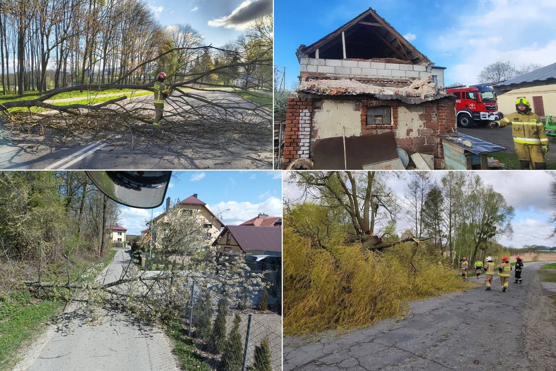 Region. Wichury znów powalały drzewa. Jedno spadło na auto. Ranny kierowca zabrany do szpitala [ZDJĘCIA]