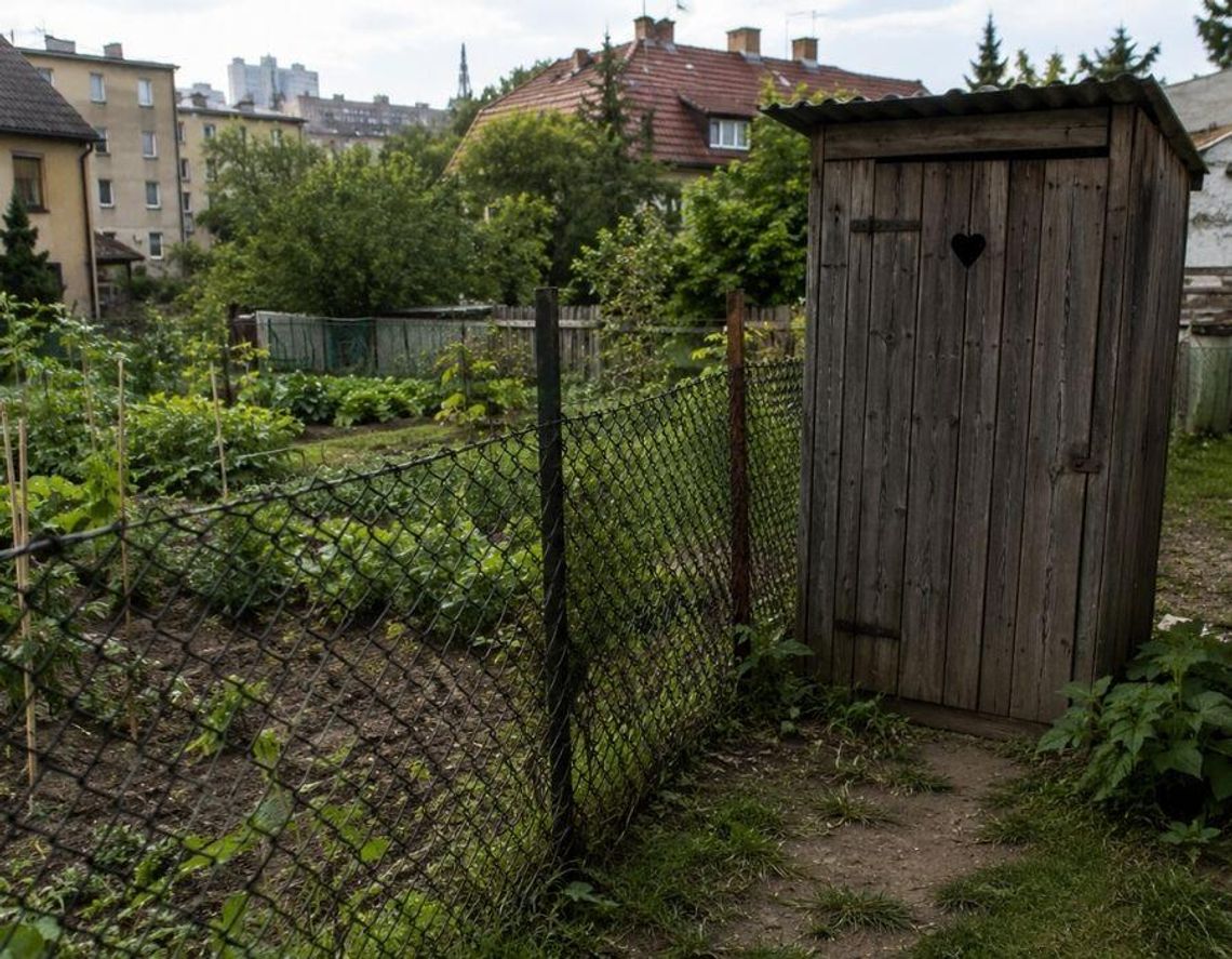 Chełm. Rodzina bez kanalizacji, sąsiadka z wychodkiem „pod nosem”. Miasto: Czekamy na sąd... Zdjęcie ilustracyjne