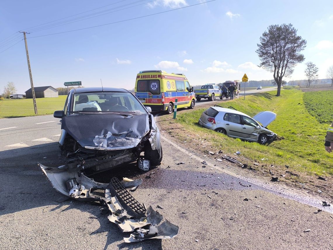 Sprawczyni trzeźwa, poszkodowany pijany. Interweniowali także strażacy z Włodawy i ochotnicy z Hanny