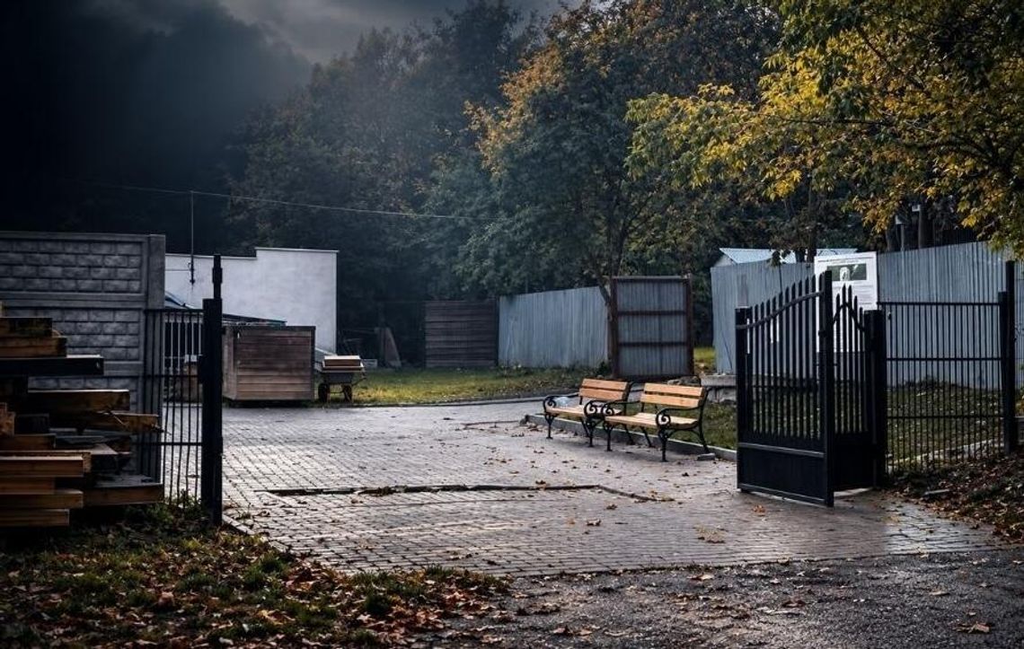 Śmierć Goi w chełmskim schronisku. Miasto zawiadomiło policję, weterynaria przeprowadziła kontrolę Śmierć Goi w chełmskim schronisku. Miasto zawiadomiło policję, weterynaria przeprowadziła kontrolę