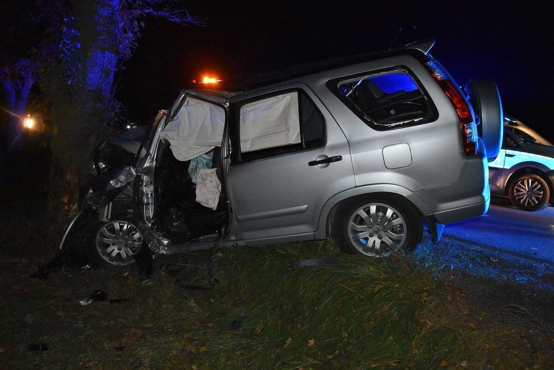 Śmiertelny wypadek w gminie Siedliszcze. Nie żyje 60-letnia pasażerka Śmiertelny wypadek w gminie Siedliszcze. Nie żyje 60-letnia pasażerka