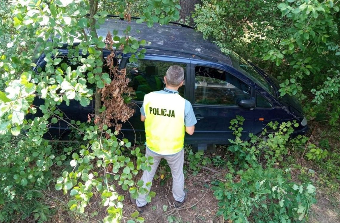 77-latek uderzył w drzewo i zginął na miejscu. Pasażerka w szpitalu