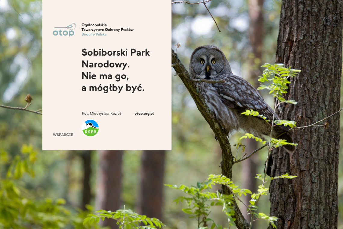 grafika o konsultacjach dotyczących sobiborskiego parku narodowego