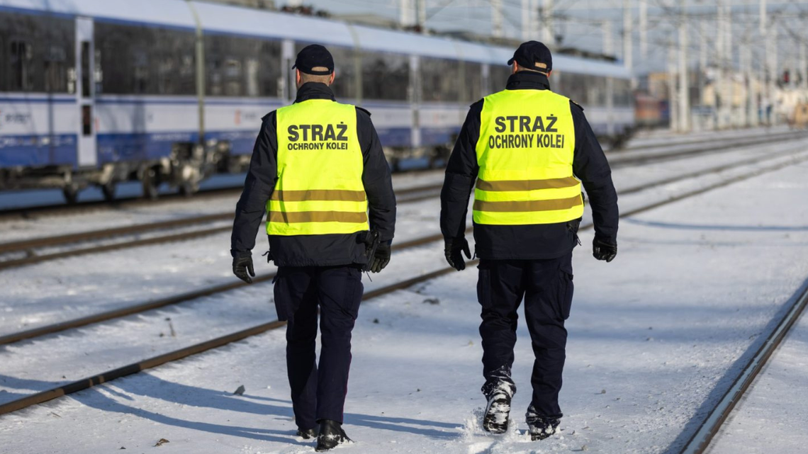 Straż Ochrony Kolei poszukuje sokistów. Można zarobić 8 tysięcy złotych Straż Ochrony Kolei poszukuje sokistów. Można zarobić 8 tysięcy złotych