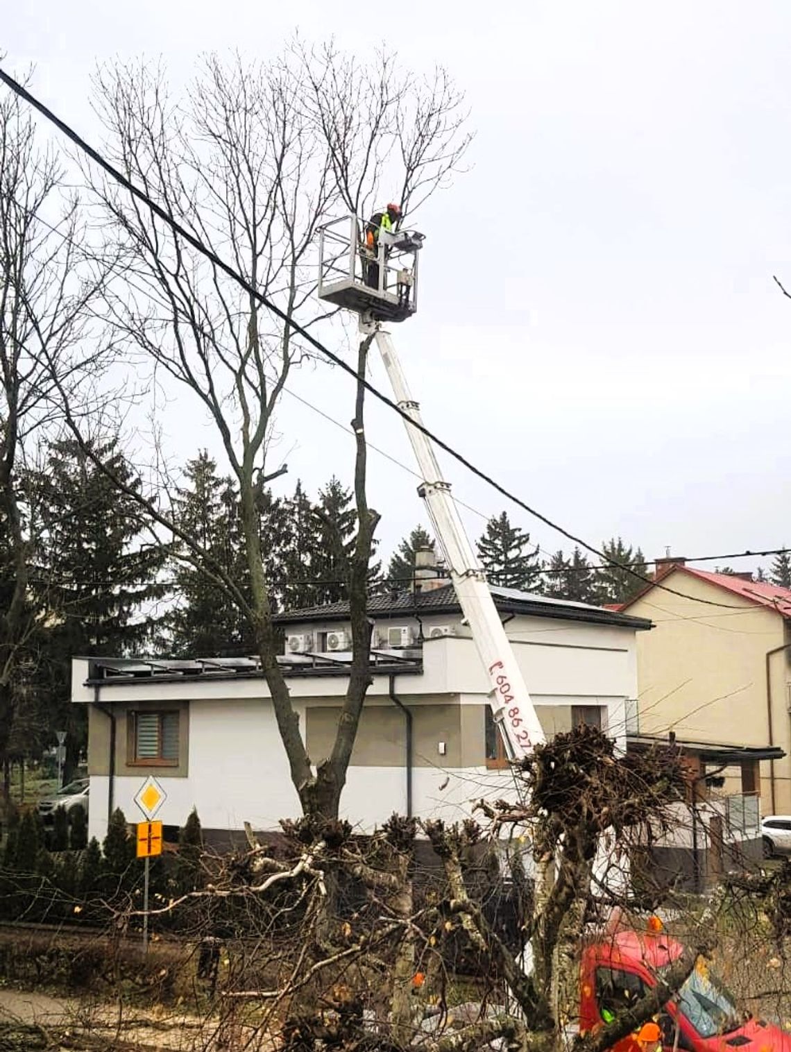 Ktoś podtruwał jesion rosnący przy ul. Wiejskiej w Chełmie? Sprawa zgłoszona na policję, drzewo wycięte Wycinka jesionu przy ul. Wiejskiej w Chełmie. Drzewo jest przedmiotem zawiadomienia o podejrzeniu popełnienia przestępstwa.