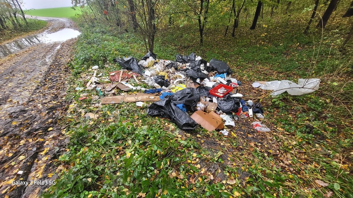 Krasnystaw. Ważny pojedynek! Straż leśna kontra śmieciarz. Wynik 1:0