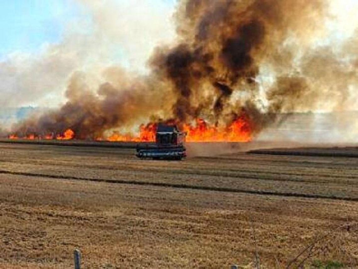 Strażacy mają pełne ręce roboty. Seria pożarów podczas żniw w regionie