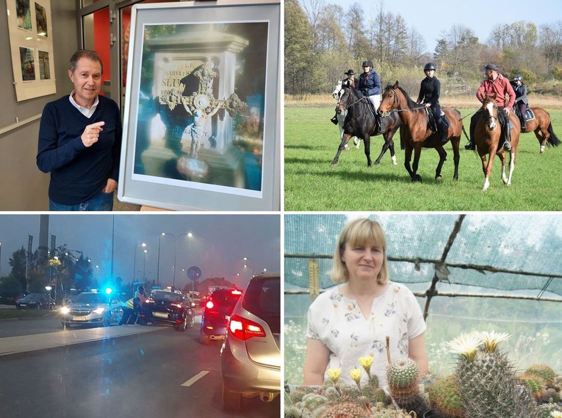 SuperFlesz (02-11-22): Wypadki, kocie oszustwo, kaktusy, drożyzna na cmentarzu SuperFlesz (02-11-22): Wypadki, kocie oszustwo, kaktusy, drożyzna na cmentarzu