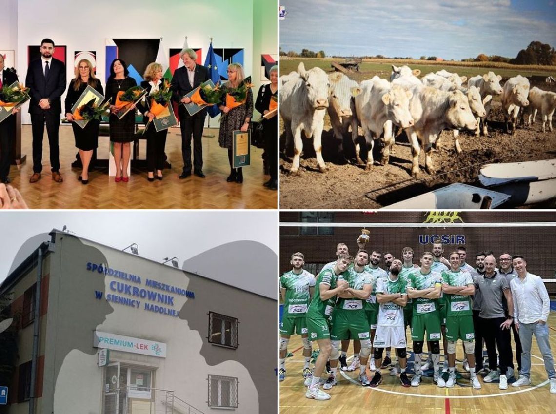 SuperFlesz (17-10-22): Zasłużeni dla Chełma, martwe krowy, wojenka w spółdzielni SuperFlesz (17-10-22): Zasłużeni dla Chełma, martwe krowy, wojenka w spółdzielni