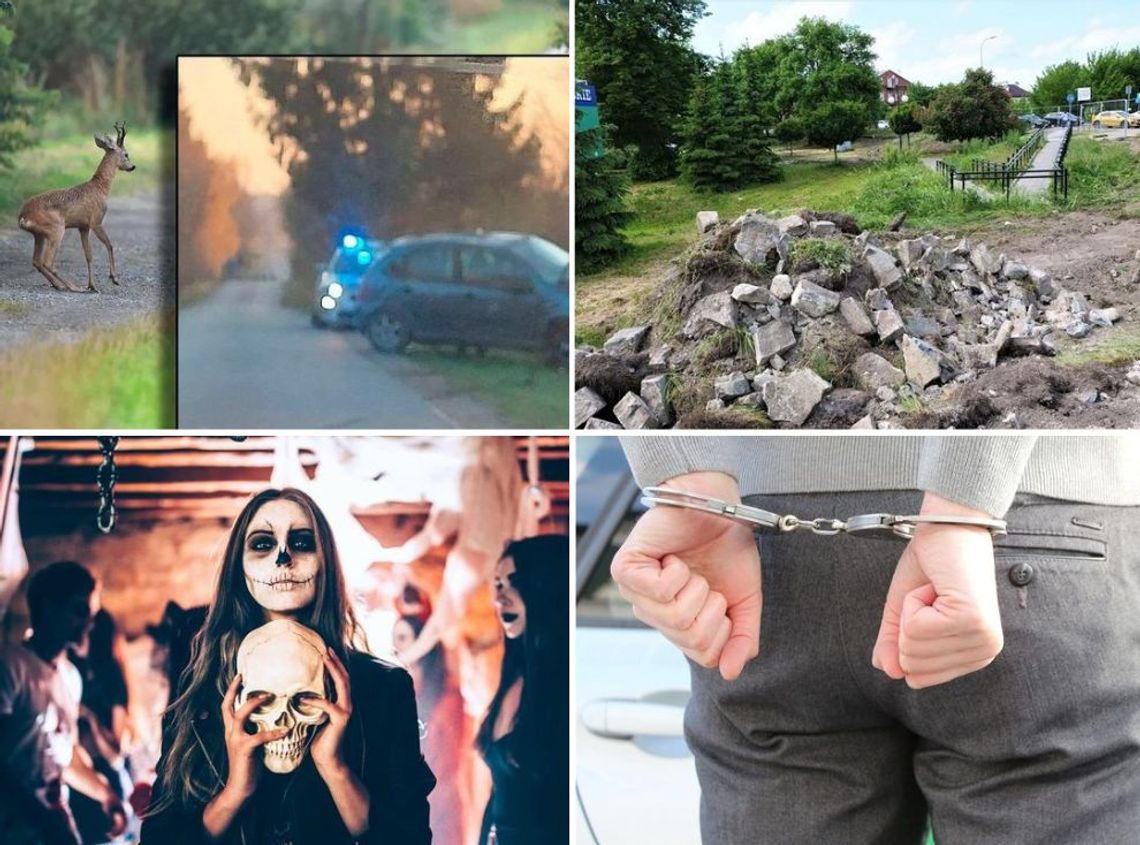 SuperFlesz (29-10-22): Dachowanie, groził 14-latce, park miejski bez wykonawcy SuperFlesz (29-10-22): Dachowanie, groził 14-latce, park miejski bez wykonawcy