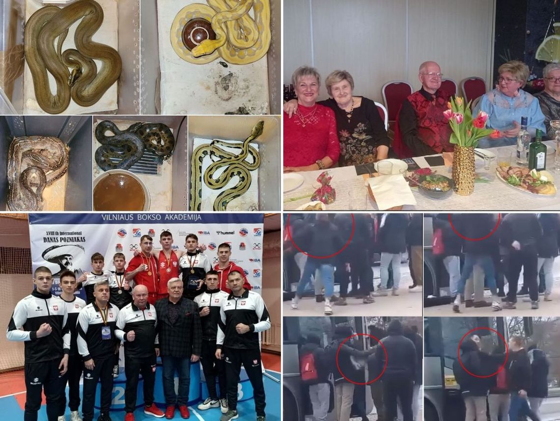 SuperFlesz: przegląd prasy z 09.03.2023 Chełm, Krasnystaw, Włodawa SuperFlesz: przegląd prasy z 09.03.2023 Chełm, Krasnystaw, Włodawa